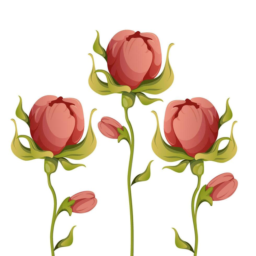 hermosa rosas antecedentes. jardín Rosa con hojas. mano dibujado bosquejo. rosa mosqueta flores conjunto de flores vector dibujos animados ilustración.