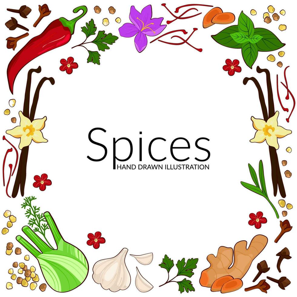 Frame with culinary ingredients. Hand drawn illustration of different spices on white background. Use to create menus, packaging, prints. vector