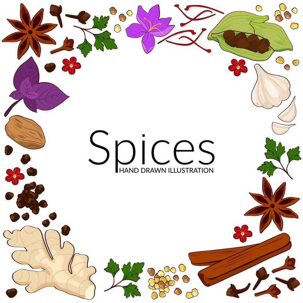 Hand drawn illustration of different spices on white background. Use to create menus, packaging, prints. vector