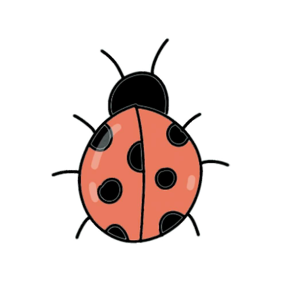 Hand drawn cartoon ladybug vector