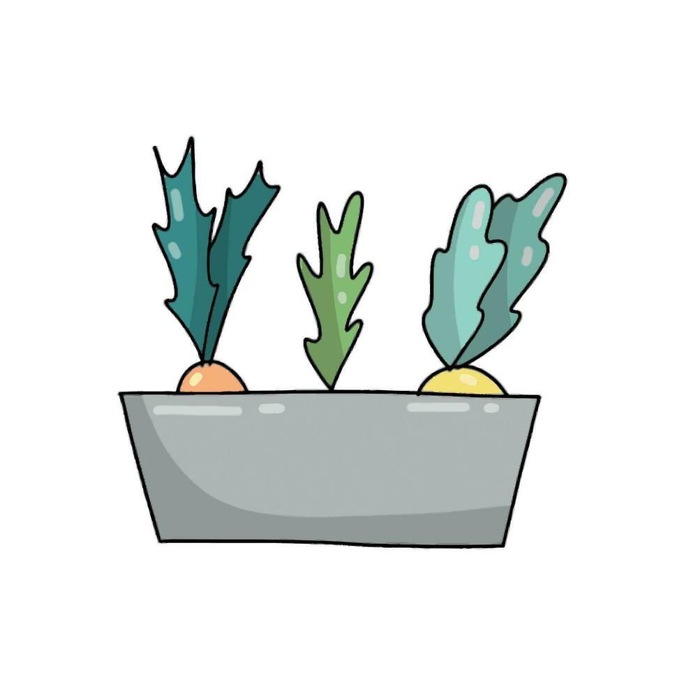 Hand drawn flowerpot with plants vector