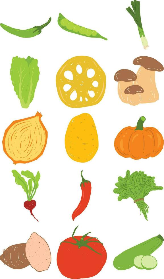 Organic Vegetable Elements Set vector