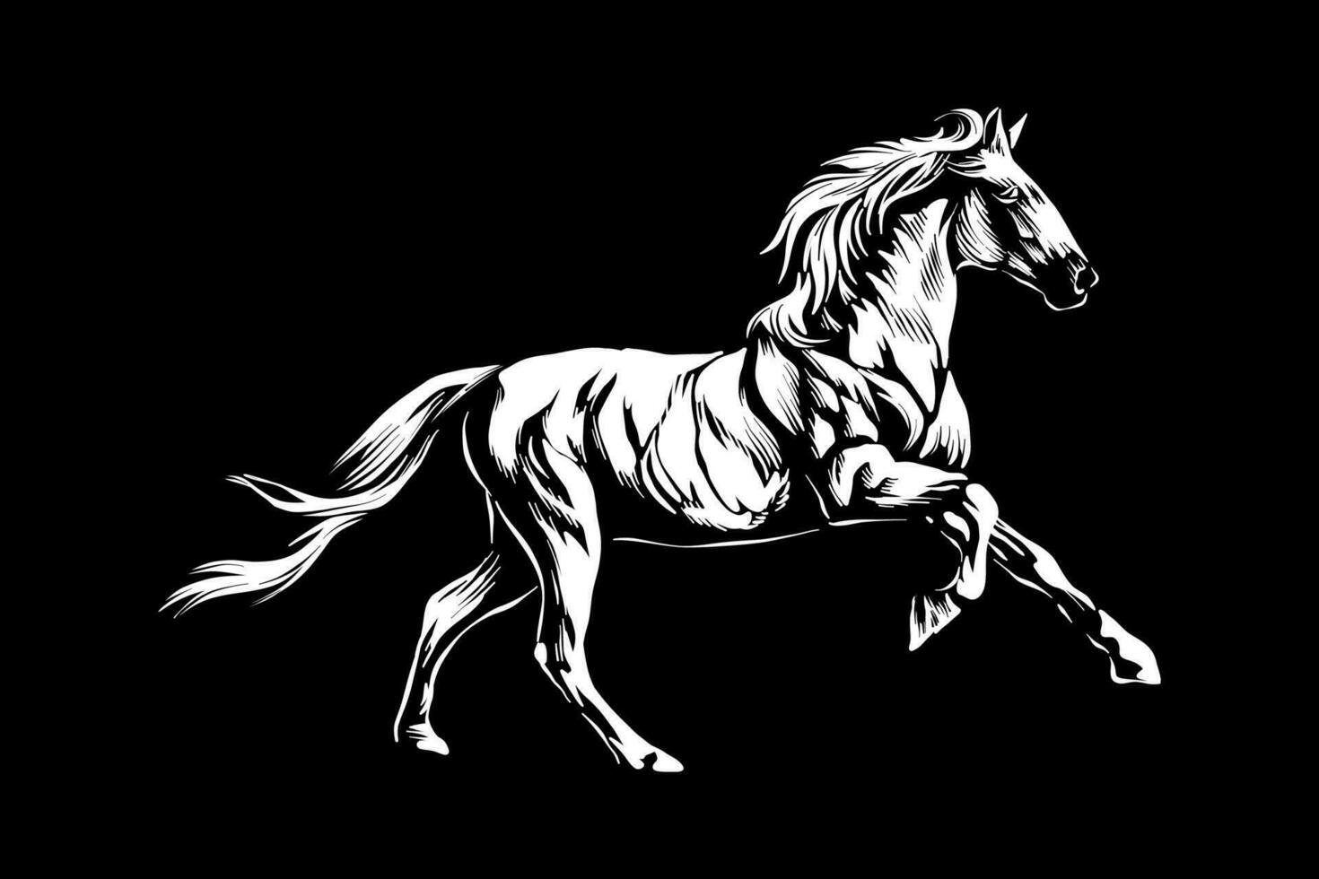 illustration of a white horse running on a black background vector