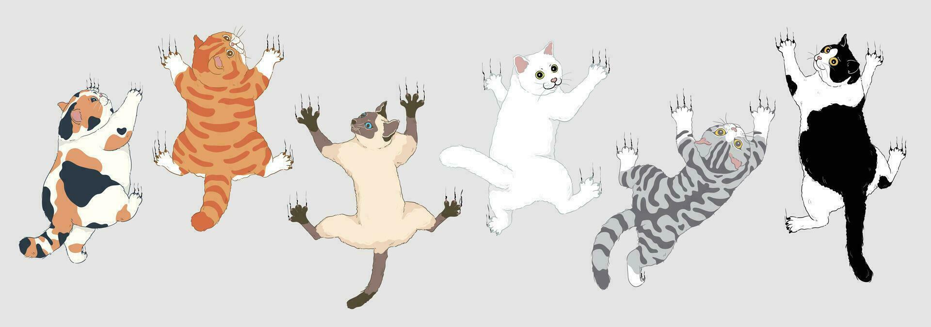 conjunto de linda dibujos animados gatos alpinismo un pared con su frente patas extendido - calicó, naranja, siamés, blanco, smoking, y cabello corto plata atigrado gatos aislado vector ilustración.