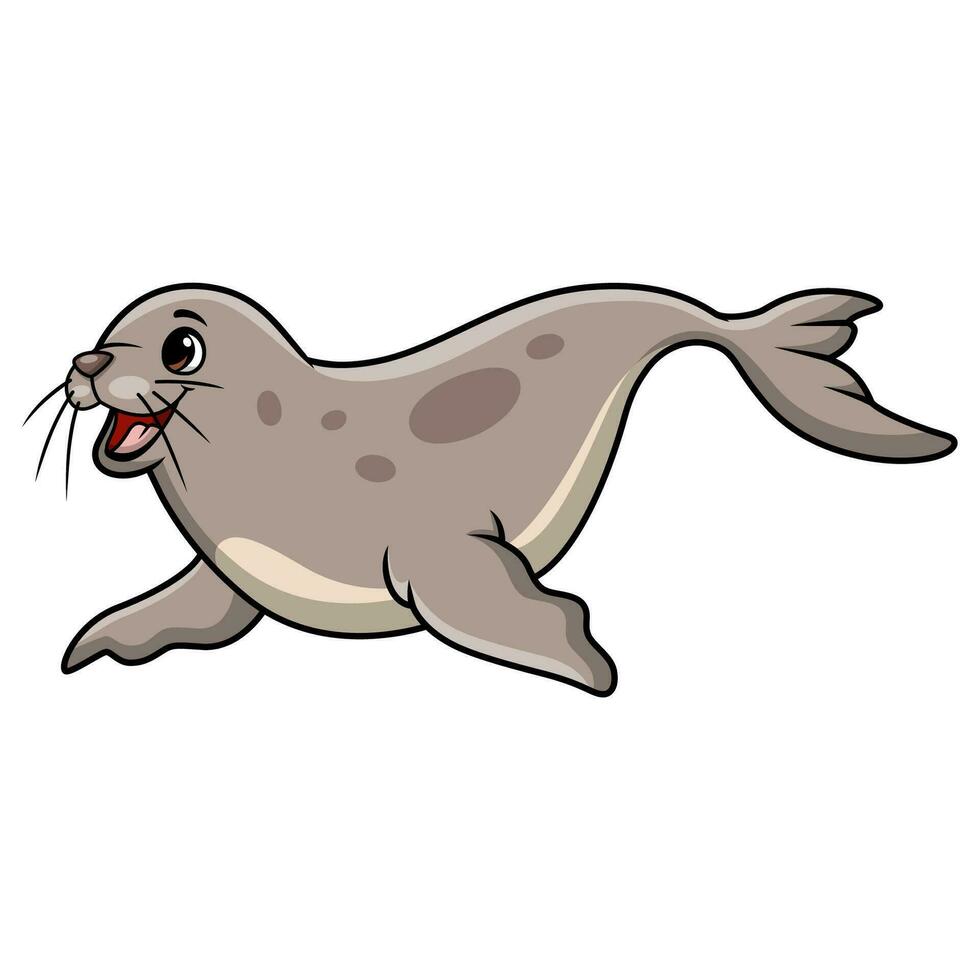 Cute baby seal cartoon on white background vector