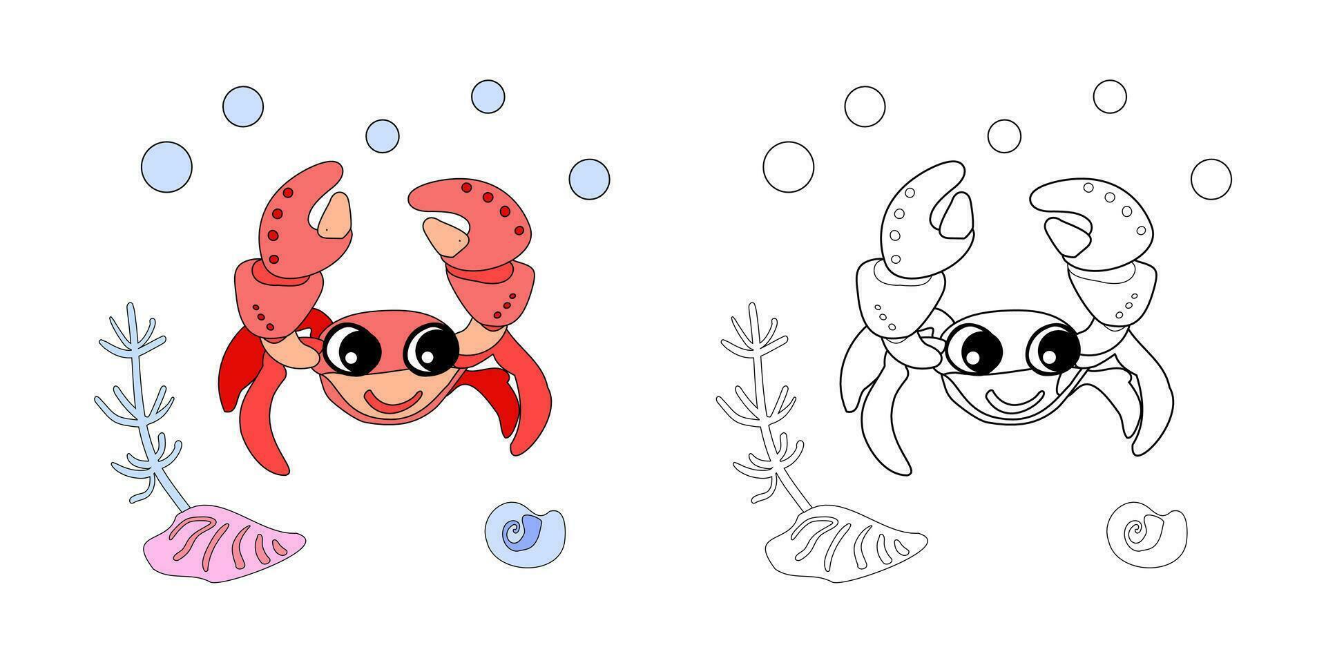 Coloring book Crab with shells, bubbles and algae in the ocean. For posters, prints on clothes. vector