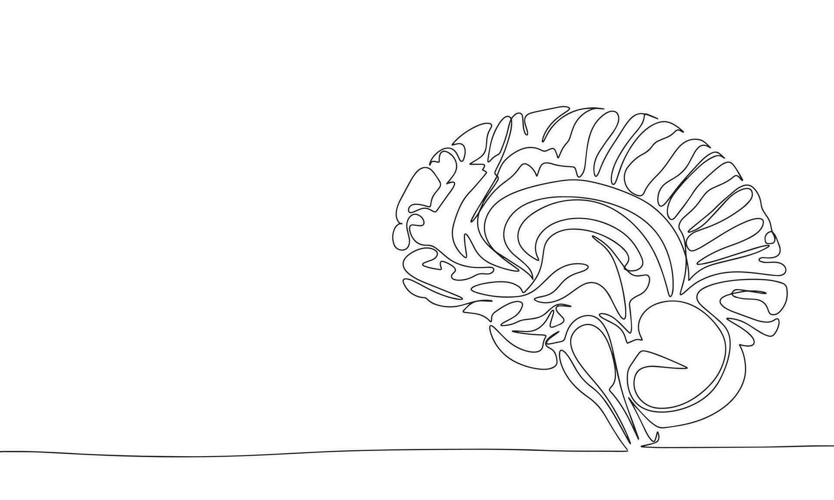 Human brain one line continuous banner. Line art human brain line art. Hand drawn vector art.