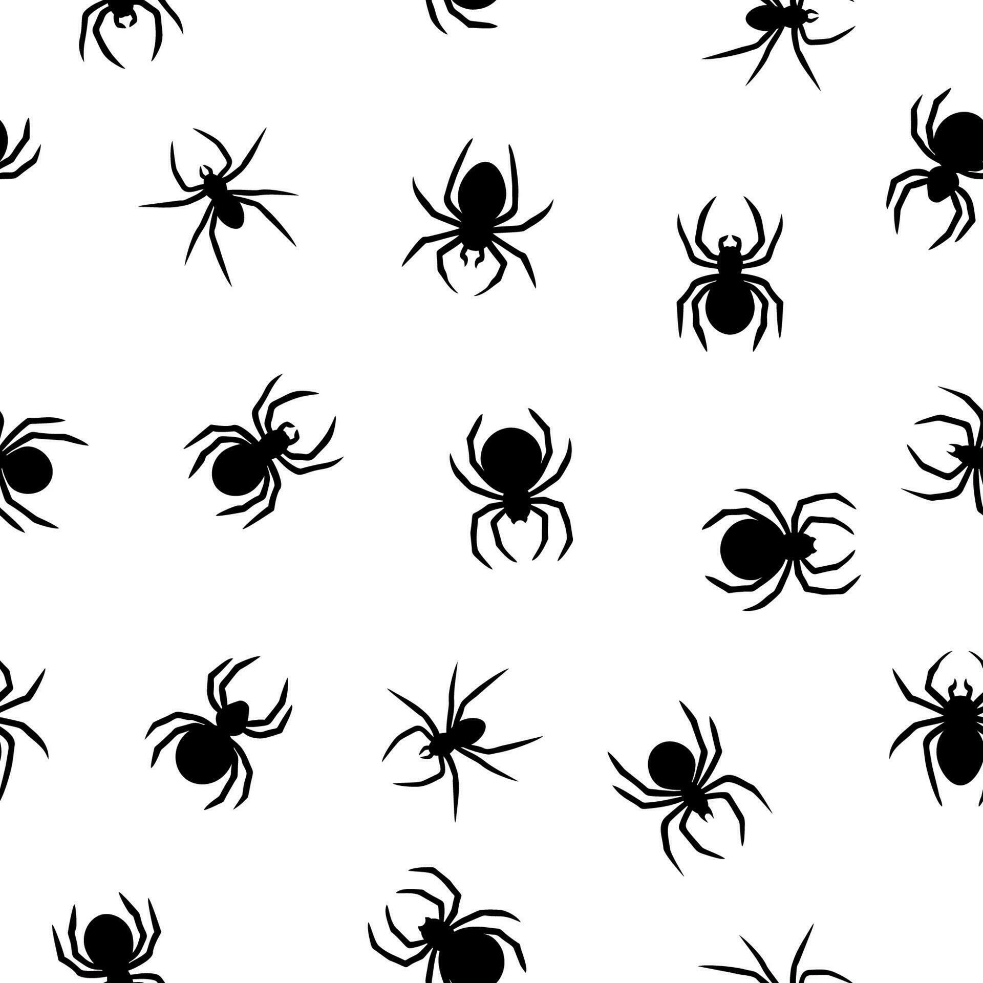 Seamless spider silhouette pattern on white background. Cute spider