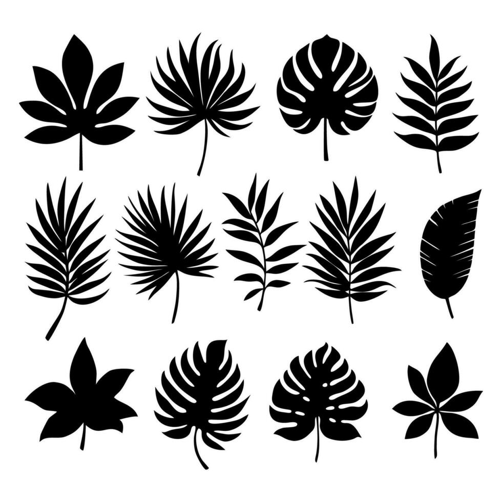 conjunto de tropical hojas en siluetas diferente hoja recopilación. selva bosque flora. palmera, monstruo, plátano árbol aislado en blanco antecedentes. vector ilustración.