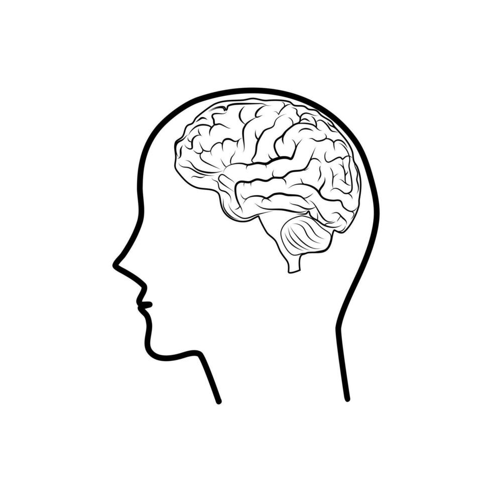 Human head and brain icon. Mind concept. isolated on white background. Vector illustration