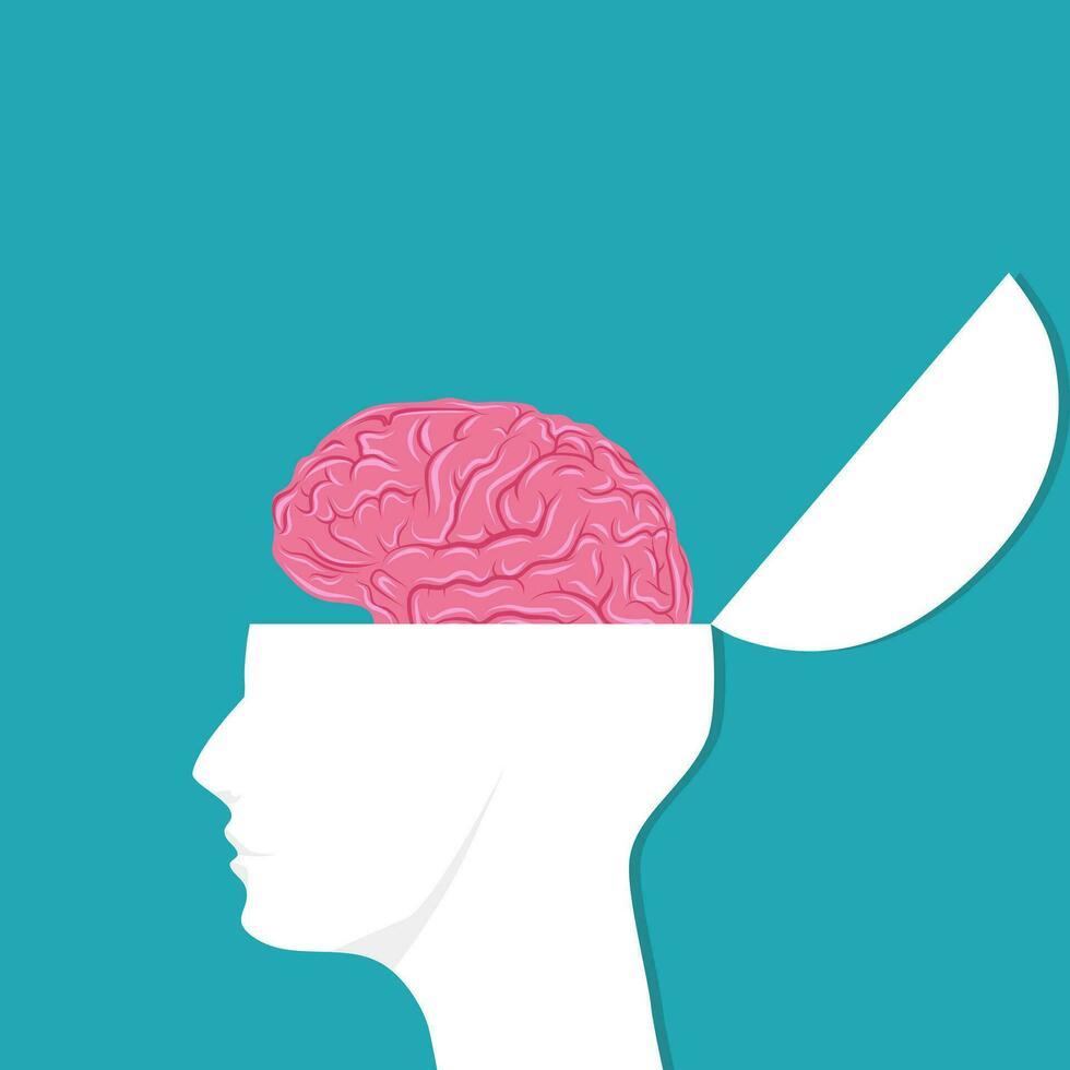 el cerebro en el humano cabeza. abierto el cabeza de un persona con un cerebro vector