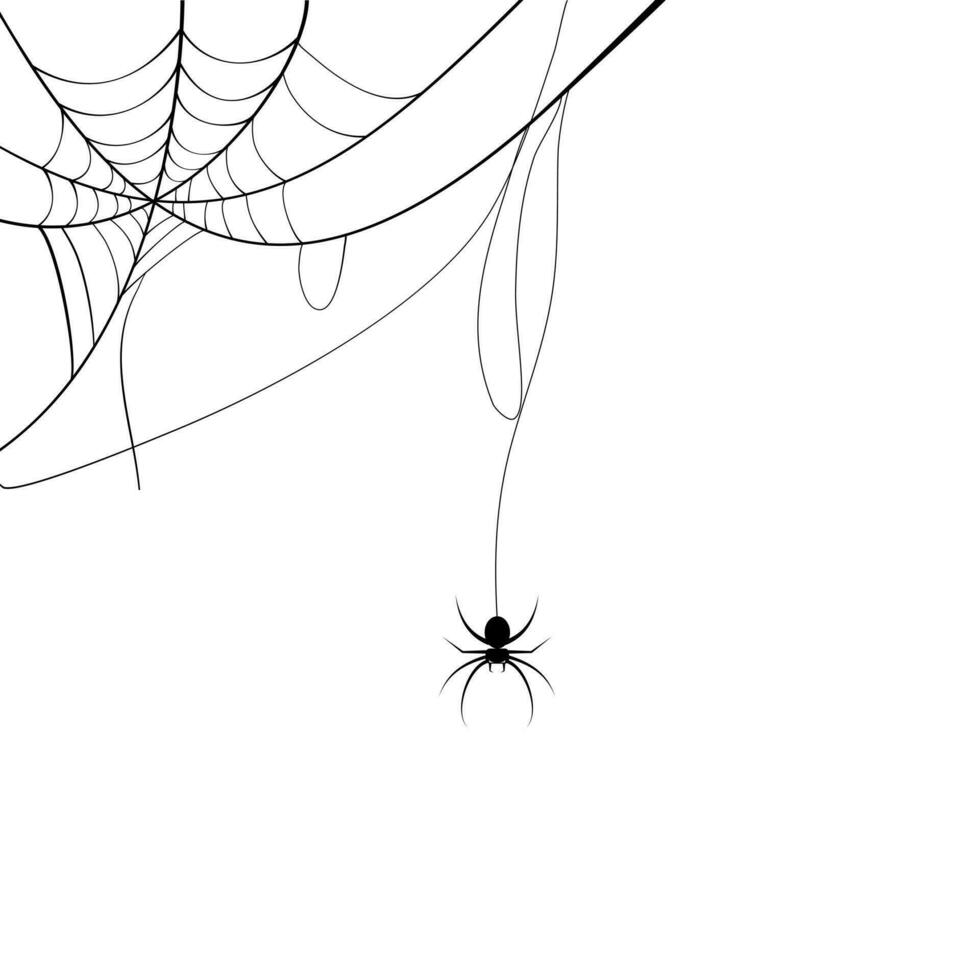 spider web and small spider. Scary spiderweb of halloween symbol vector