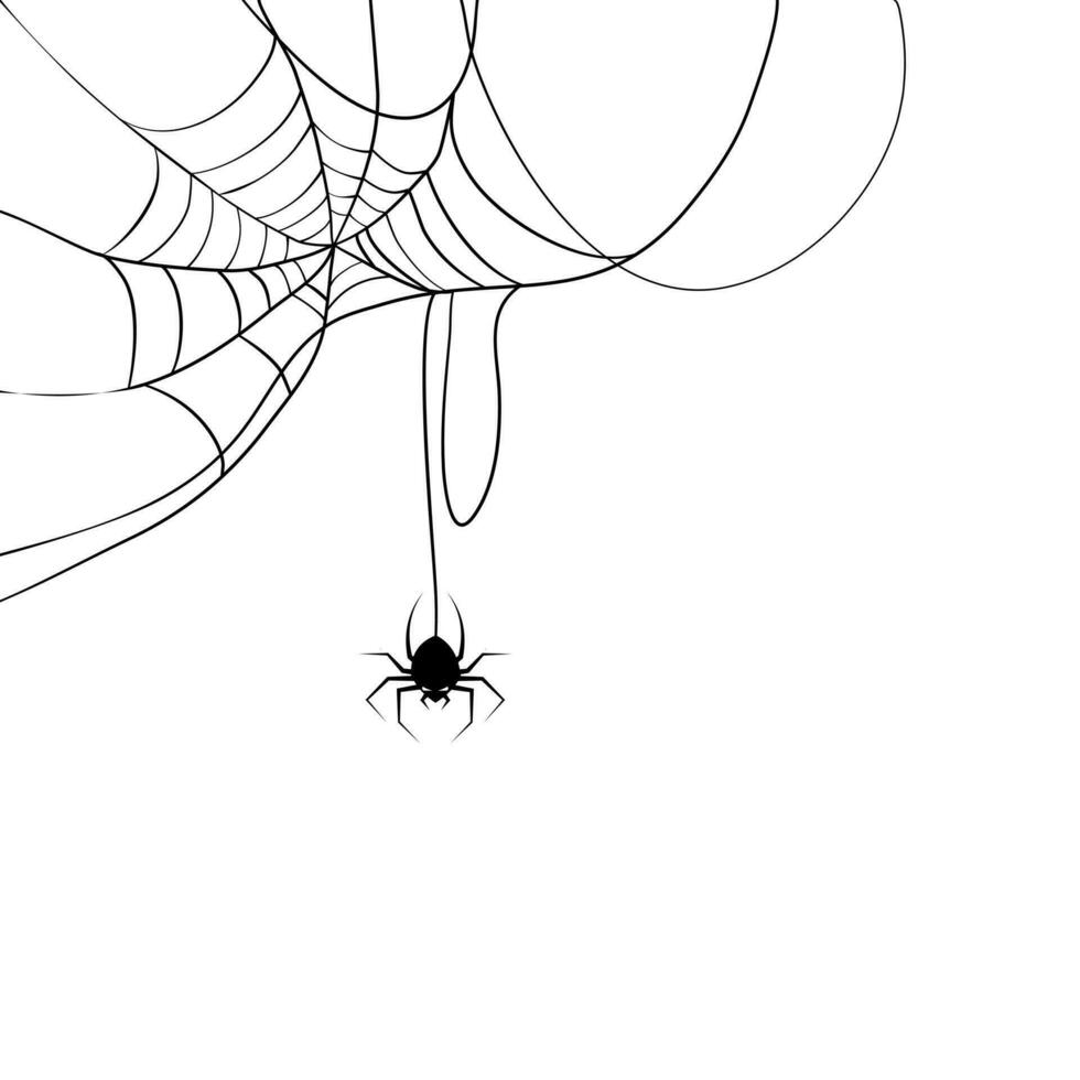 spider web and small spider. Scary spiderweb of halloween symbol vector