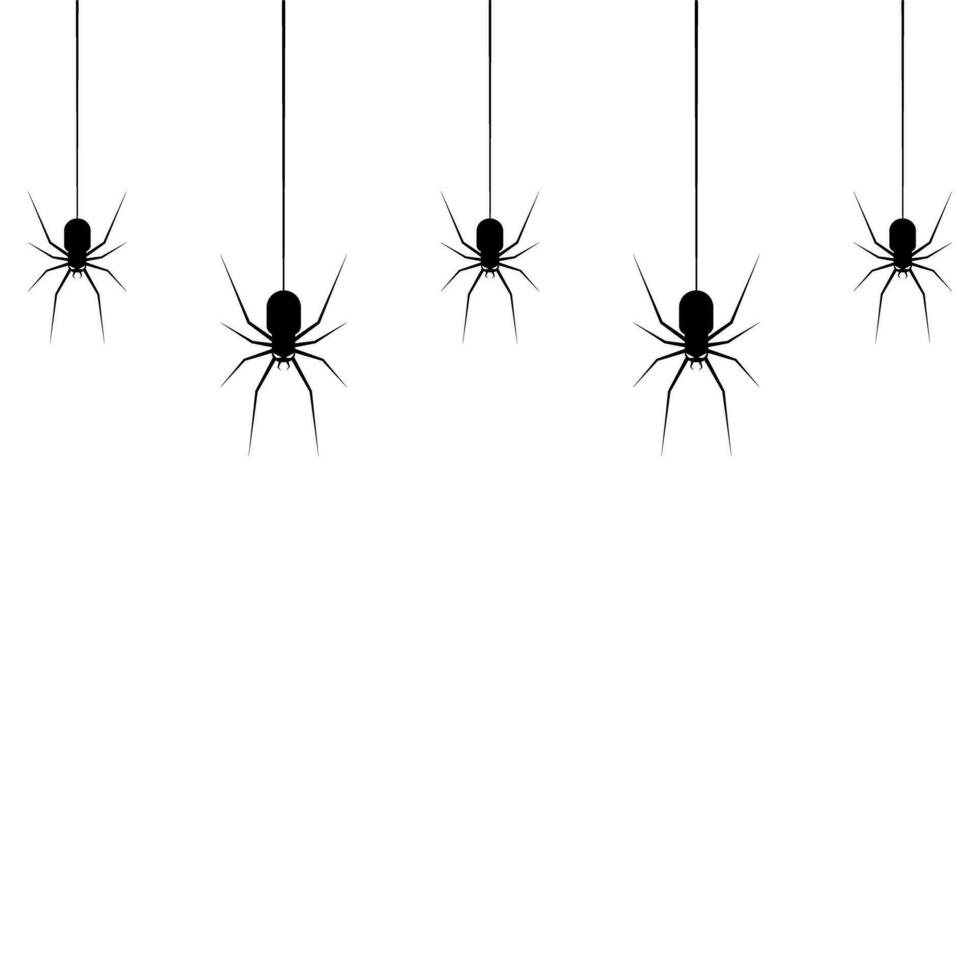 colgando arañas para decoración en el transparente antecedentes. Siniestro antecedentes para Víspera de Todos los Santos vector