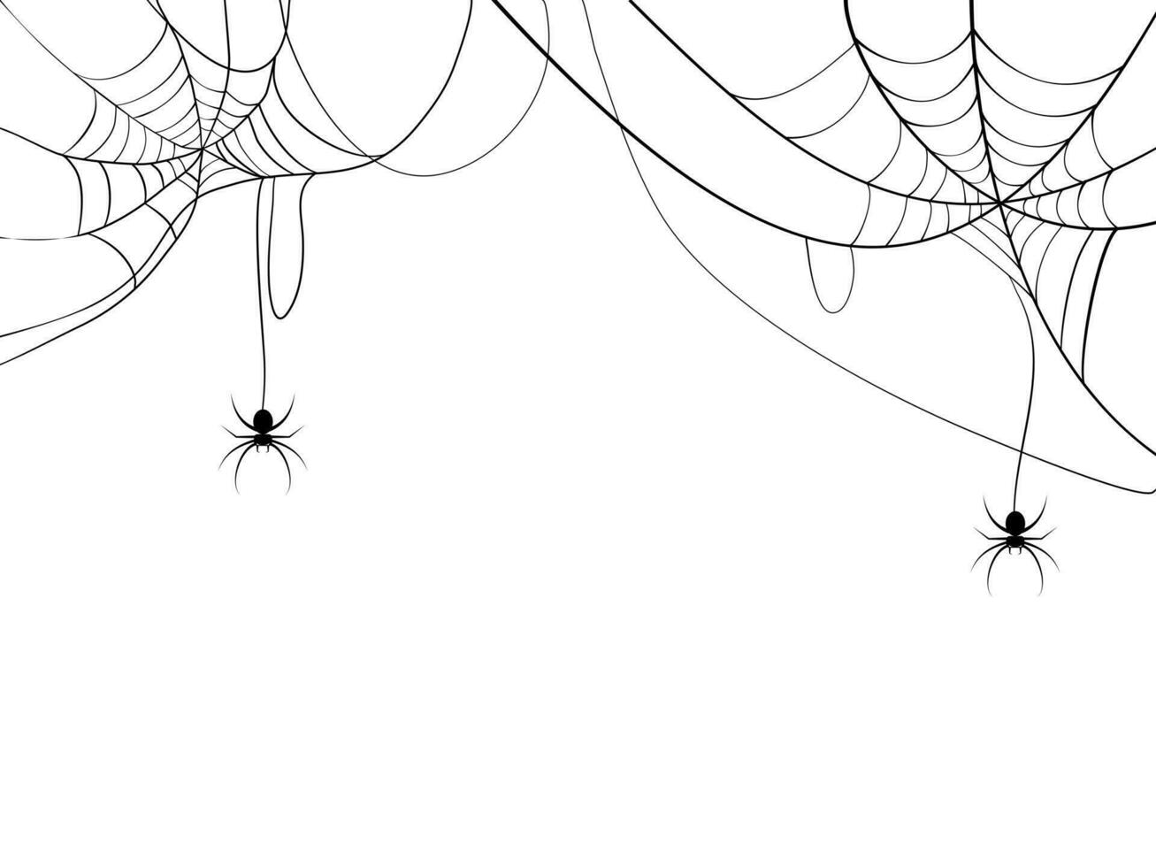 Black spider and spider web. Scary spiderweb of halloween symbol. Isolated on white background. vector illustration