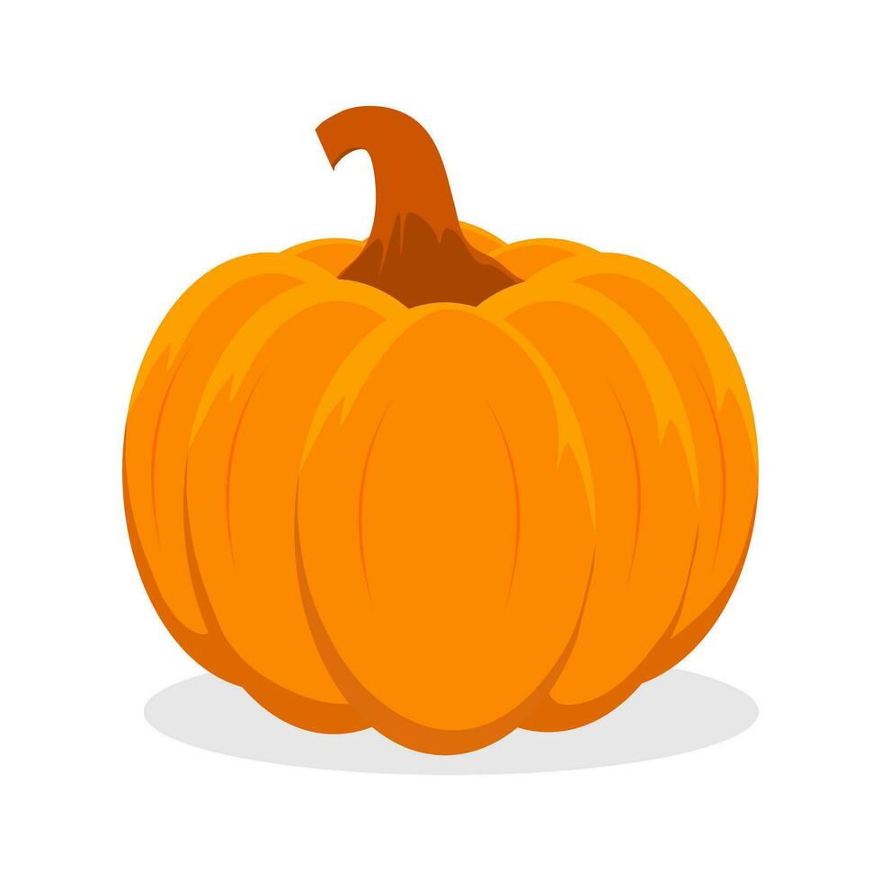 Orange pumpkin. Autumn halloween pumpkin. vegetable icon. on white background vector