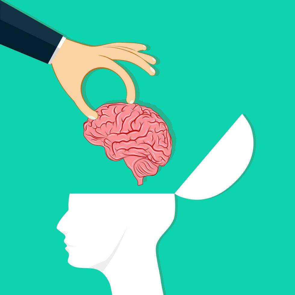 Hands put the brain in the human head. Changes in thinking. Vector illustration