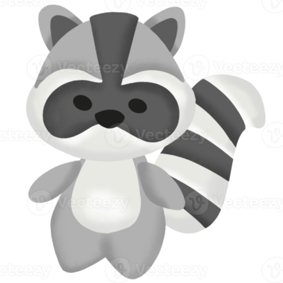 cute raccoon illustration png
