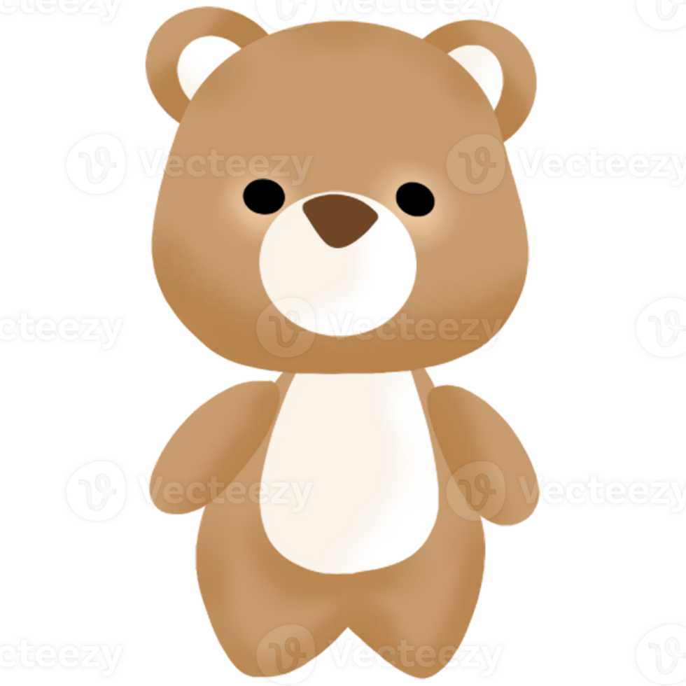 cute bear illustration png