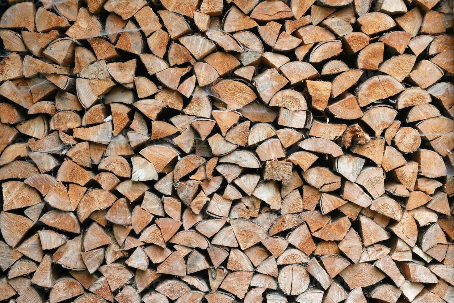 Firewood stacked near the wooden wall of old hut. Many chopped logs of firewood photo