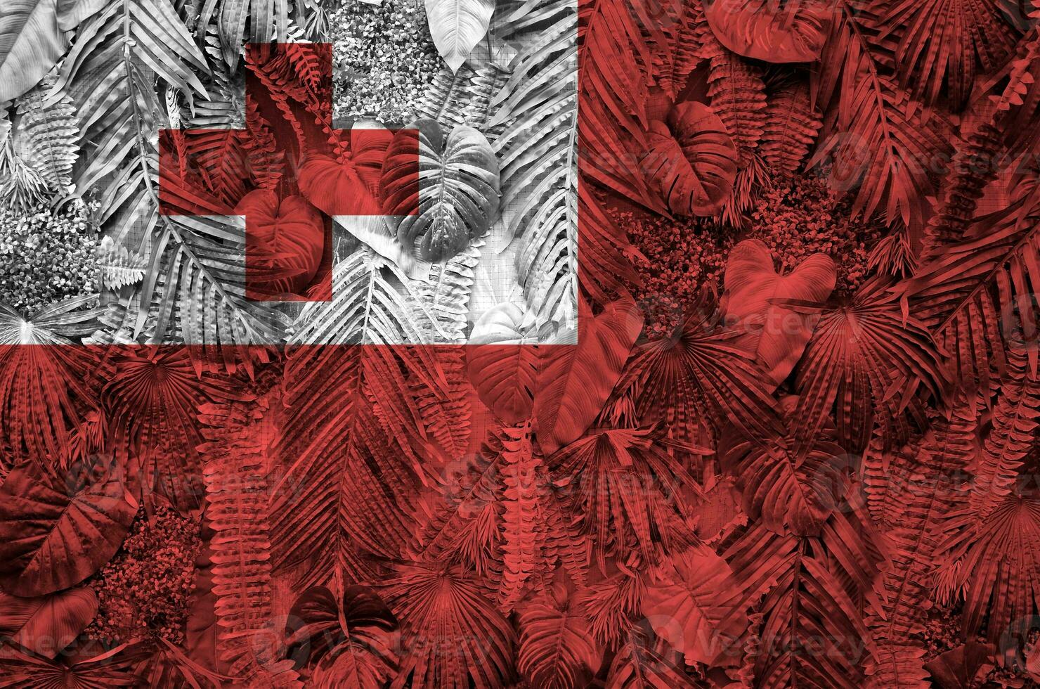 Tonga flag depicted on many leafs of monstera palm trees. Trendy fashionable backdrop photo