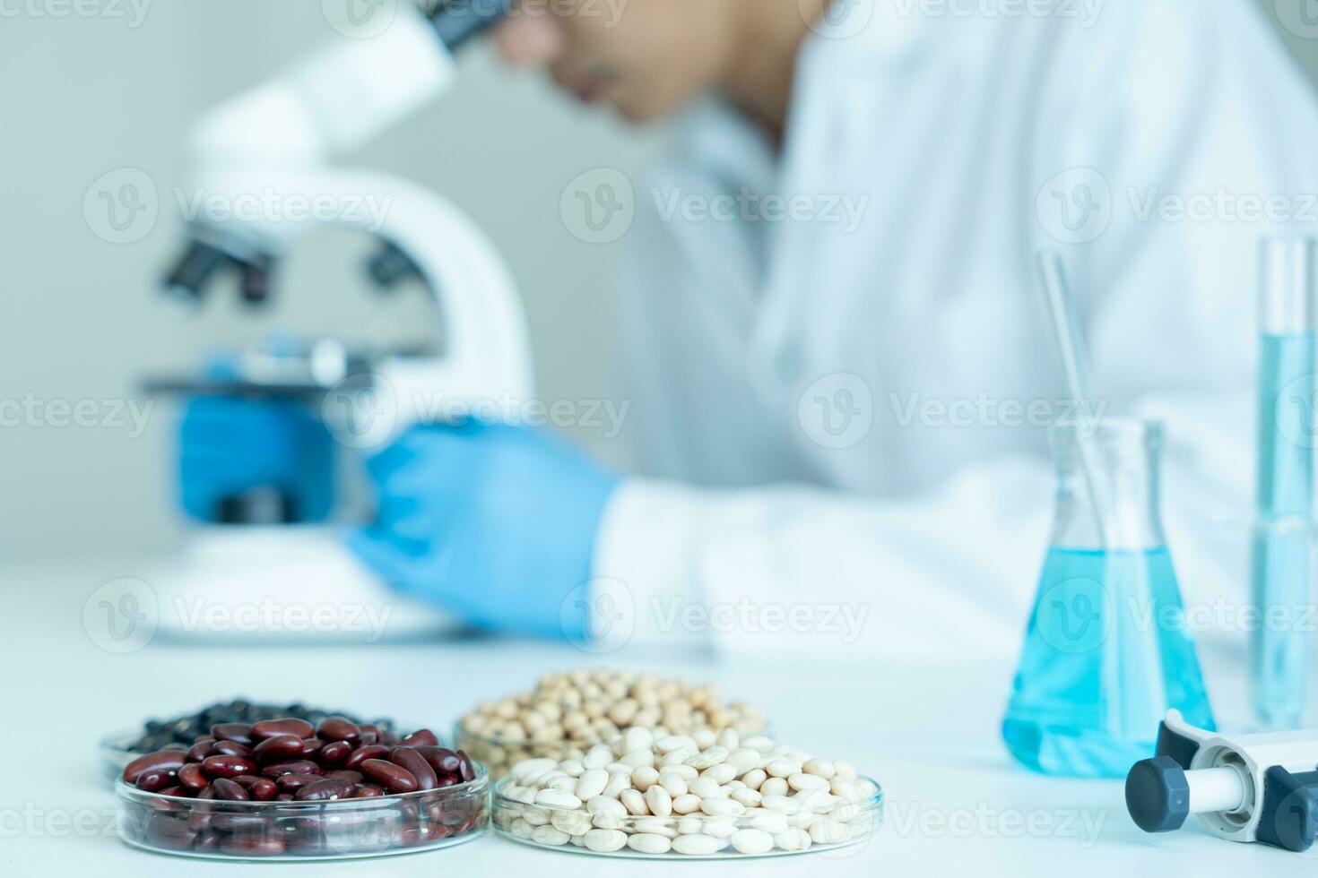 Scientist check chemical whole grains residues in laboratory. Control experts inspect the concentration of chemical residues. hazards, standard, prohibited substances, contaminate, Microbiologist photo