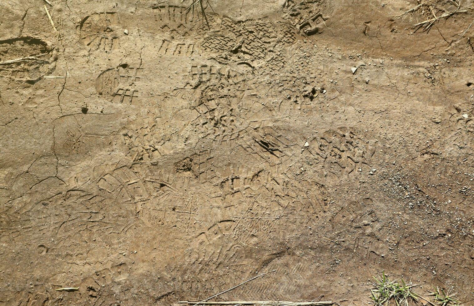 Foot mark on the jungle trail. Shoe prints on wet gravel or mud in mountain area photo