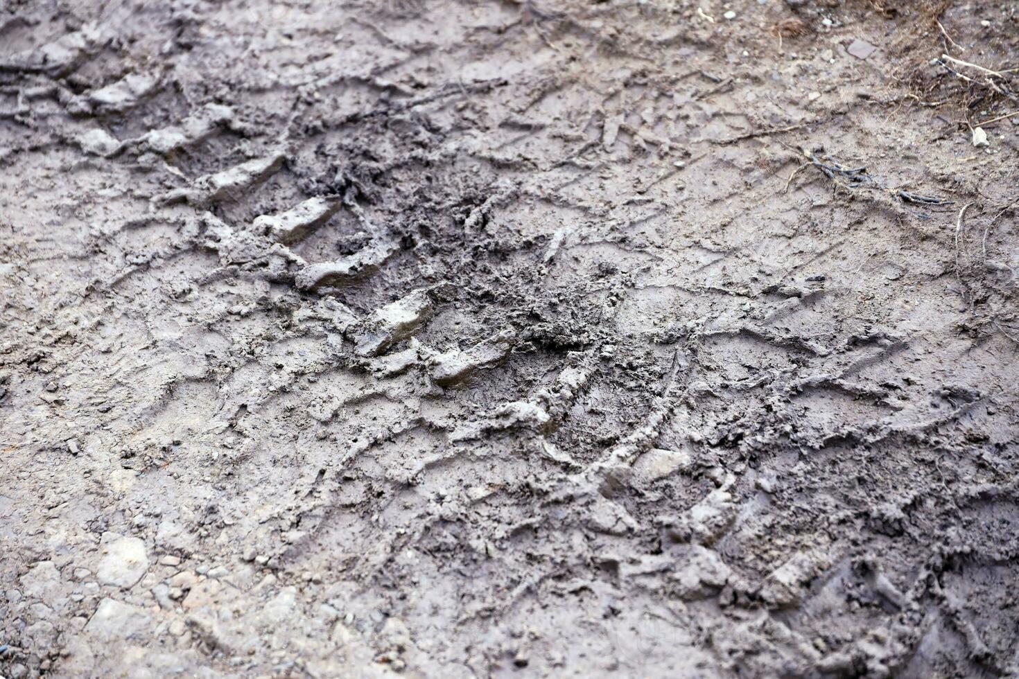 Wheel track on mud. Traces of a tractor or heavy off-road car on brown mud in wet meadow photo