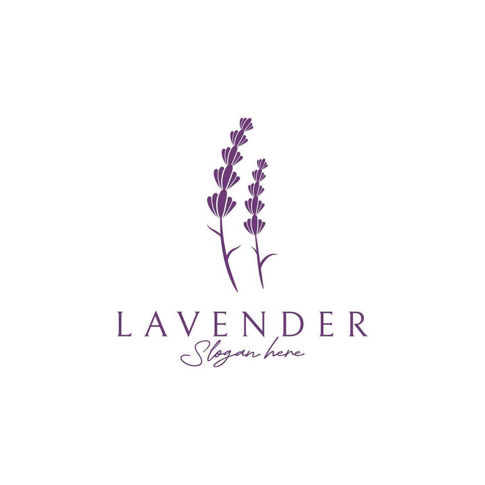 floreciente lavanda orgánico flor logo modelo diseño. logo para productos cosméticos, belleza, botánica, perfume y decoración. vector