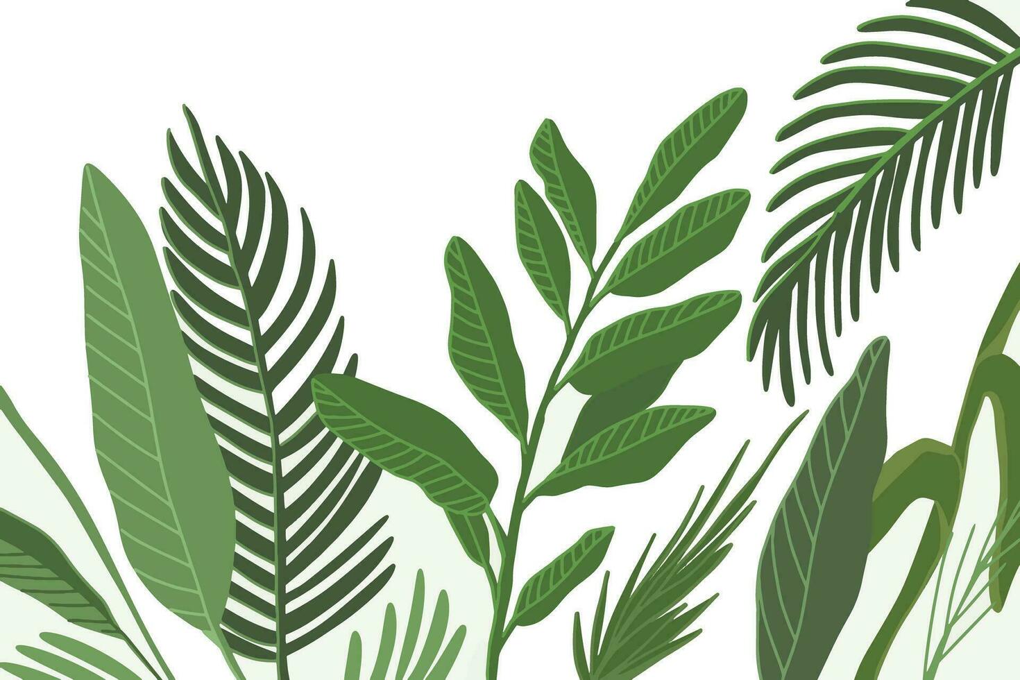 tropical leaves isolated on a white background, handdrawn flat illustrations vector