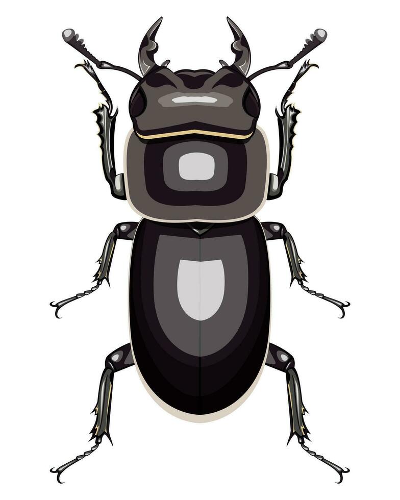 isolated decorative image of stag beetle on white background vector