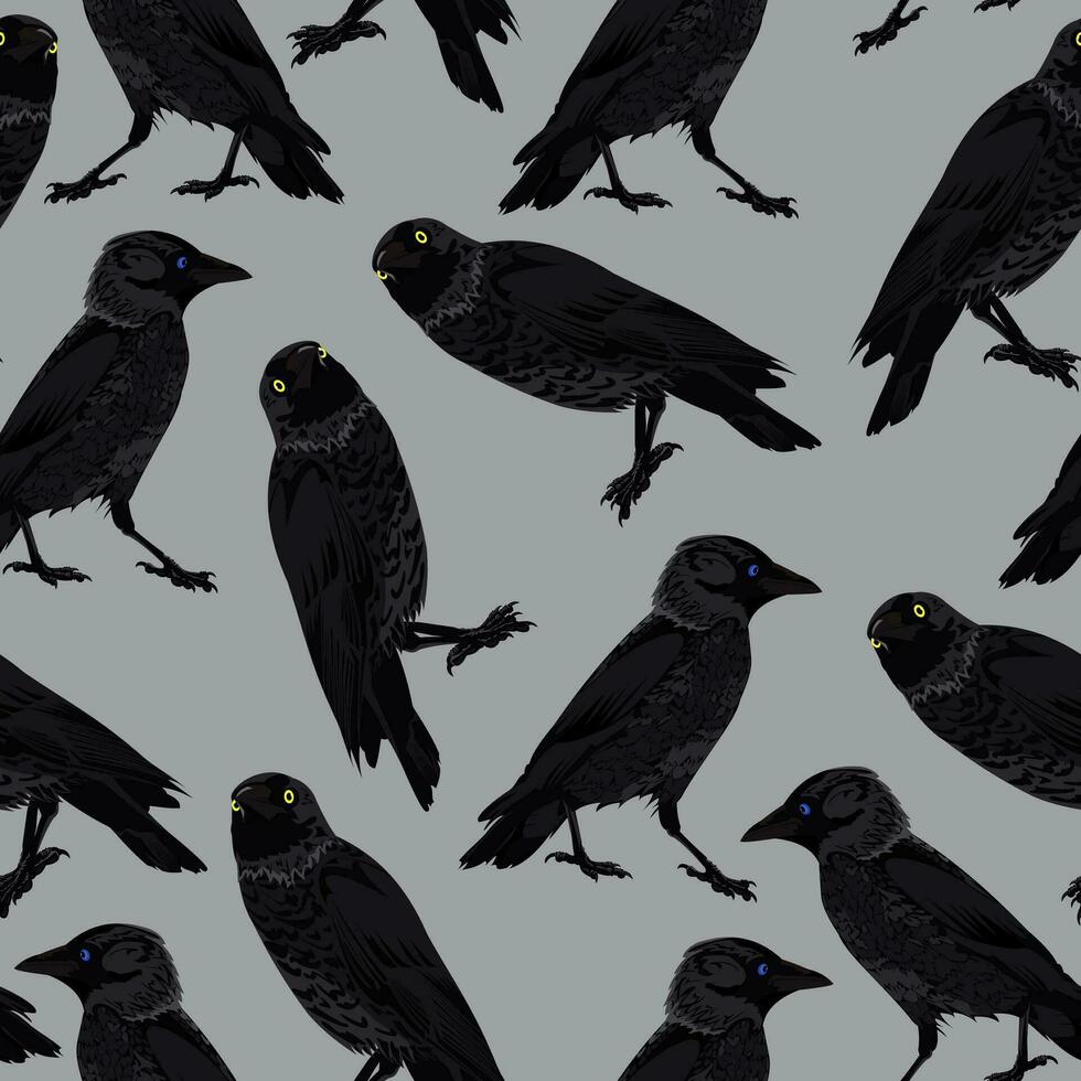 Seamless pattern with crows in different angles on a gray background vector