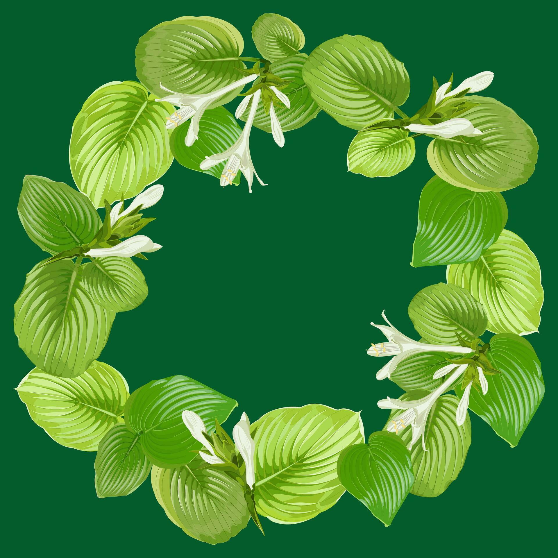 Round frame from hosta leaves and flowers on a green background