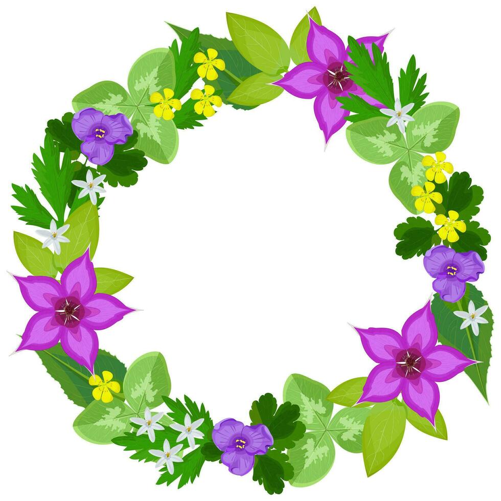 Round frame, wreath of summer wildflowers and leaves on a white background vector