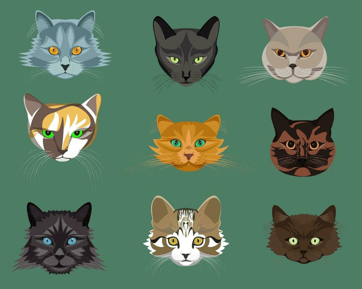 nueve caras de diferente gatos, cada tiene sus propio personaje y sus propio facial expresiones vector