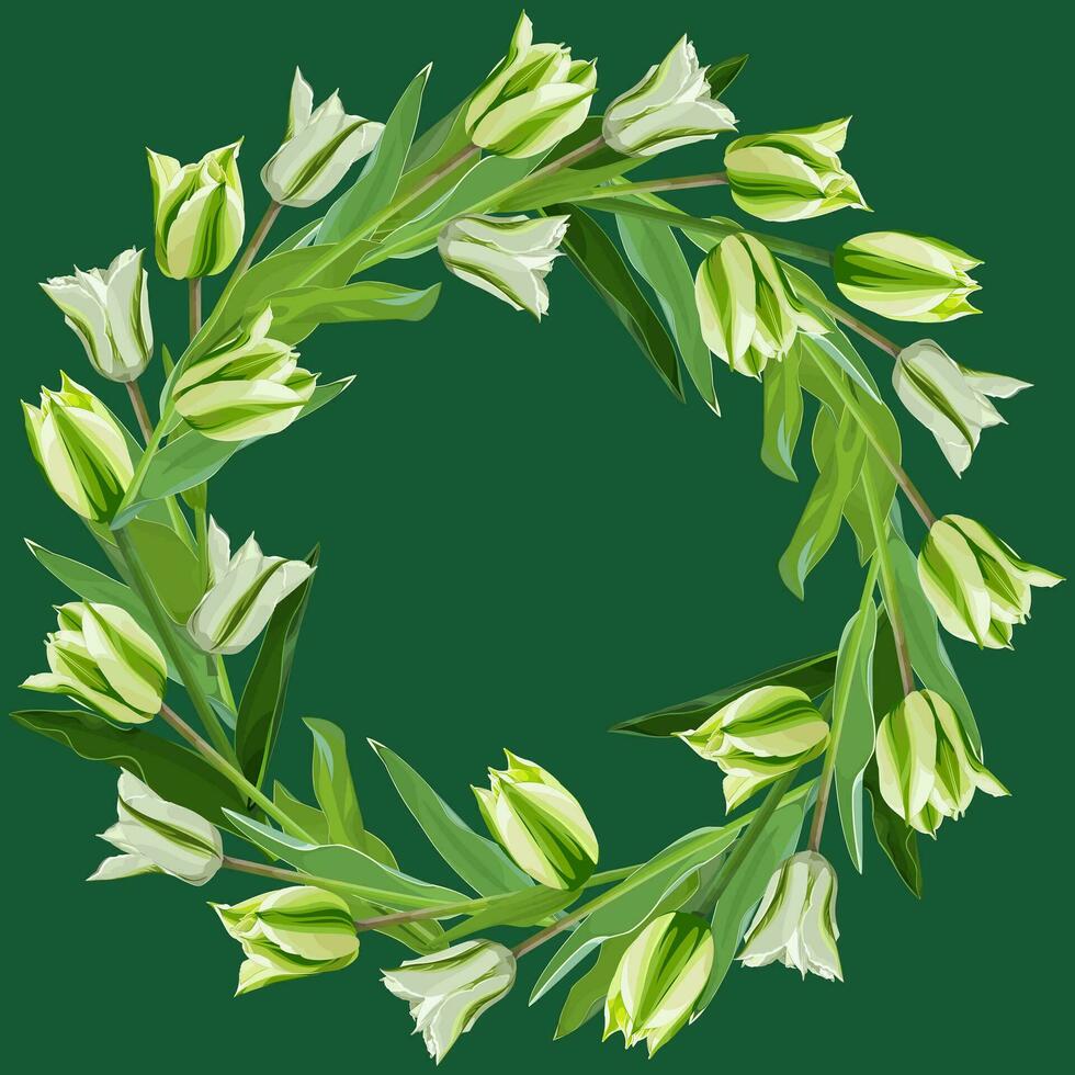 Wreath, frame of white-green tulips on a green background vector