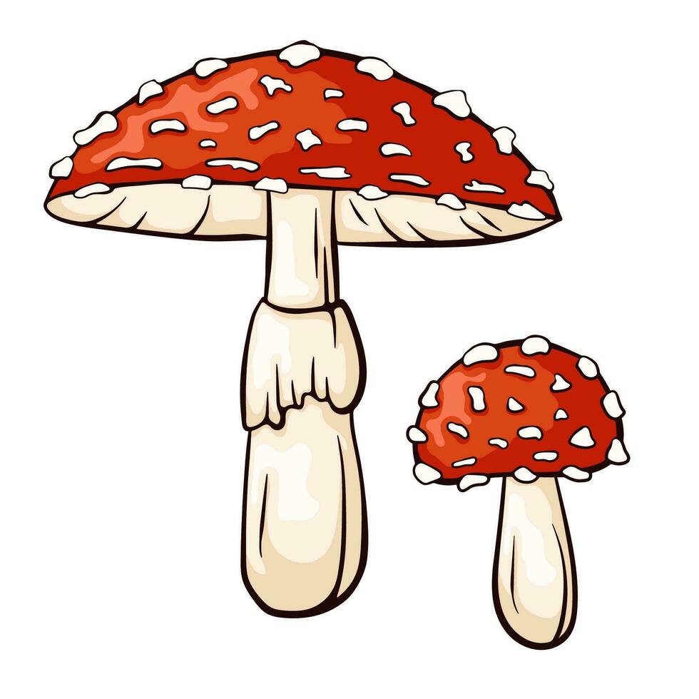 Fly agaric mushroom with red cap and white dots. Amanita muscaria line and cartoon style. Forest poisonous mushroom, medicinal plant, magic, toxic. Vector illustration isolated on a white background.