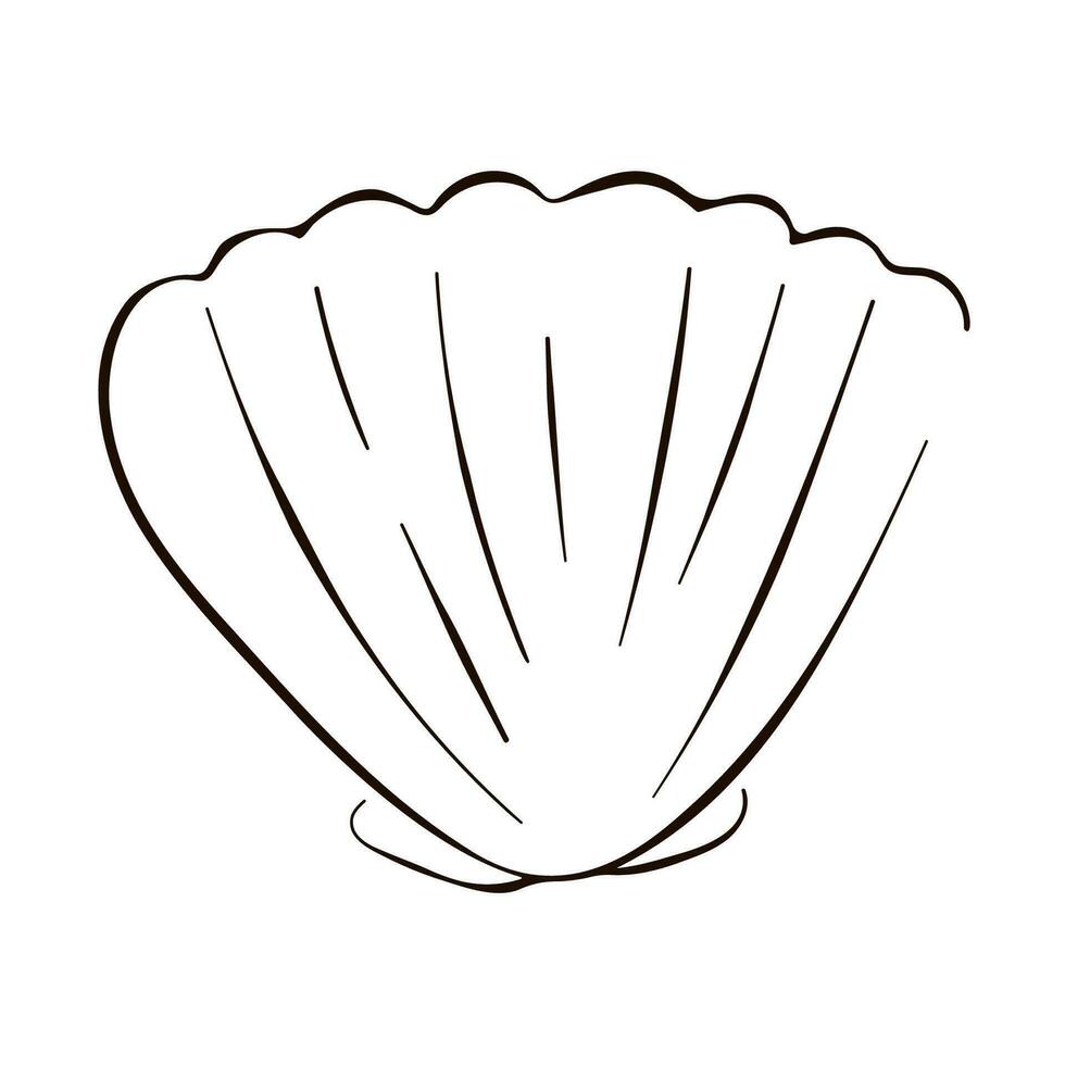 Scallop undersea seashell in line art style. Summer design for logo, icon, shirt, products. Vector illustration isolated on a white background.
