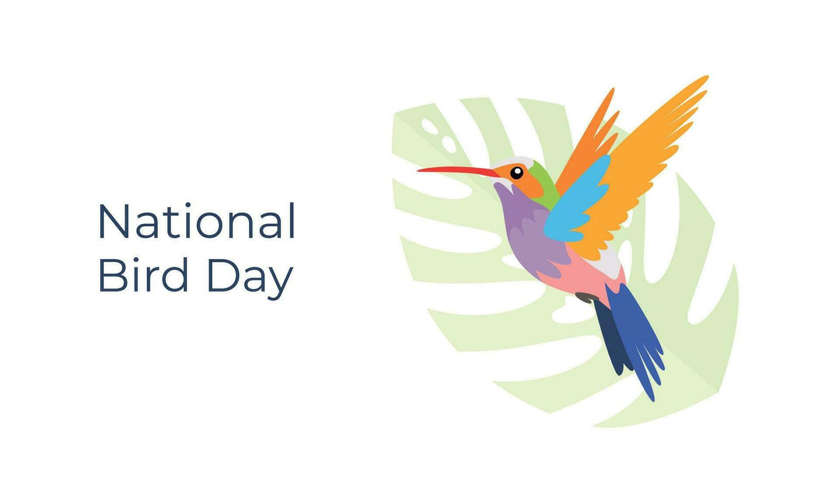 National Bird Day banner. January 5. Holiday concept. Hummingbird with text inscription. Vector flat illustration