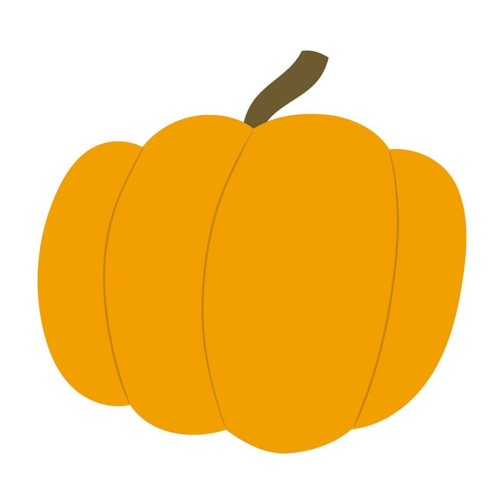 pumpkin autumn vector illustration