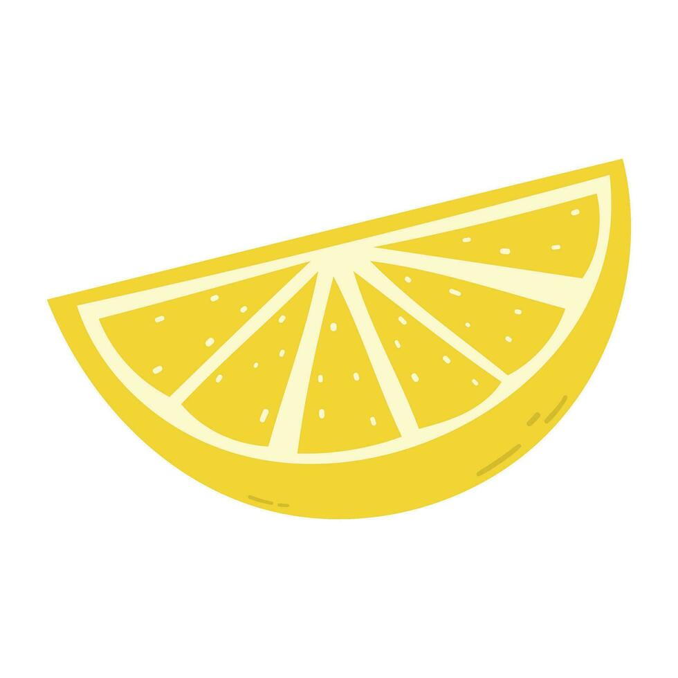 slice of lemon vector fruit illustration
