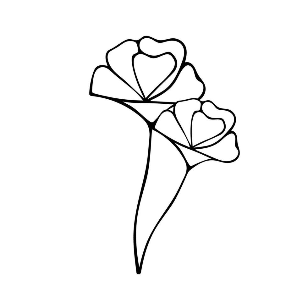 Black and white sketch of Eustomas on a white background. vector