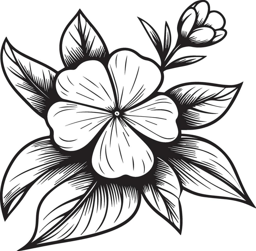 Madagascar bígaro dibujo, catharanthus Roseus sadabahar dibujo, pequeño bígaro flor tatuaje para niños, dibujado a mano bígaro flor, bígaro línea arte, vinca flor hogar pared decoración vector