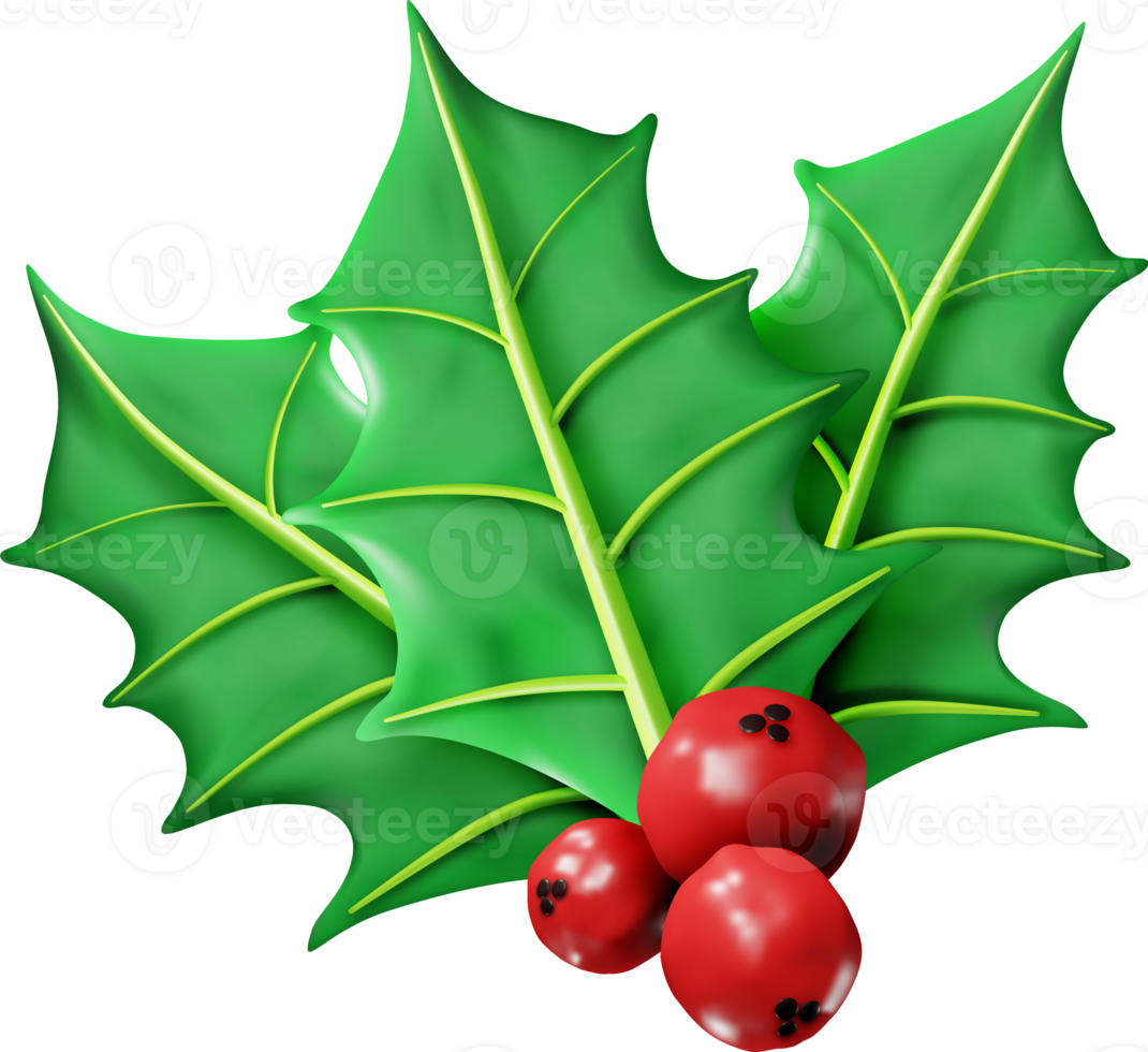 3D Christmas Twig of Holly with Leaves and Berries png