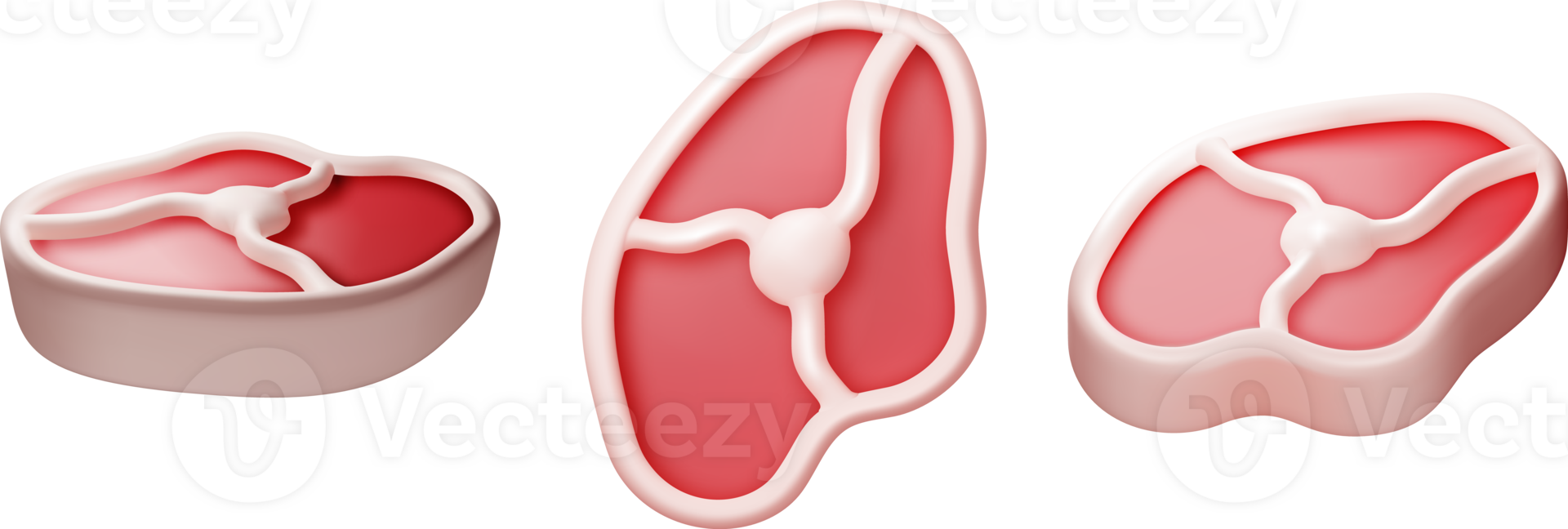 3D Meat Steak from Different Angles Collection png