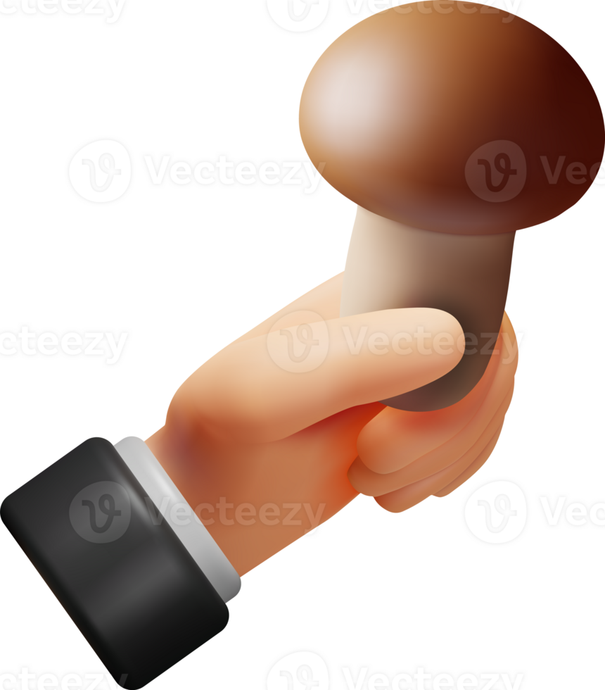 3d Ripe Mushroom Champignon in Hand png