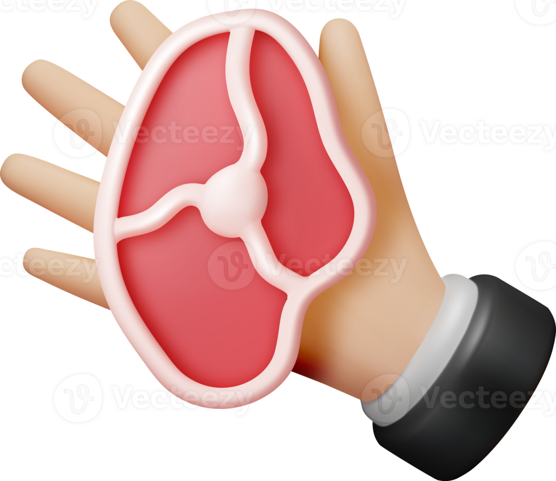 3D Meat Steak in Hand png