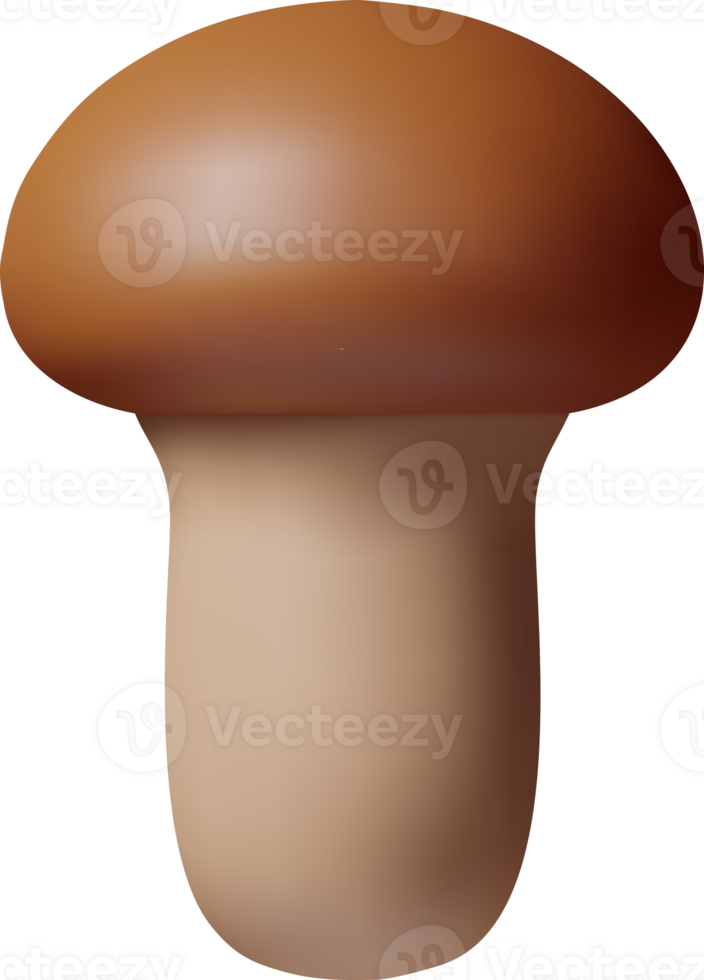 3d Ripe Mushroom Champignon png