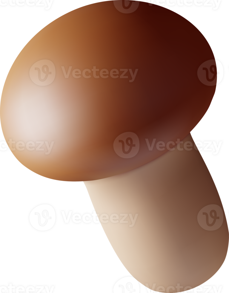 3d Ripe Mushroom Champignon png