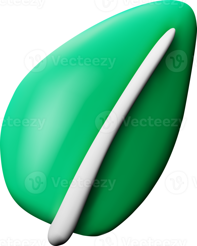 3D Cartoon Salad Leave png